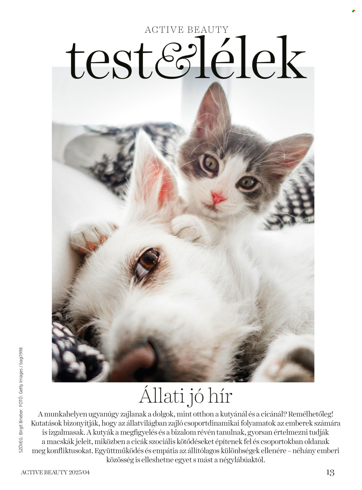 dm drogerie markt akciós újság érvényes: . 13. oldal
