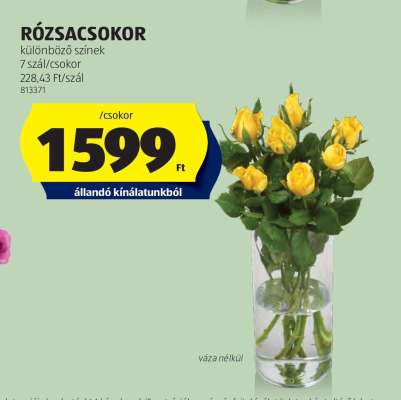 RÓZSACSOKOR