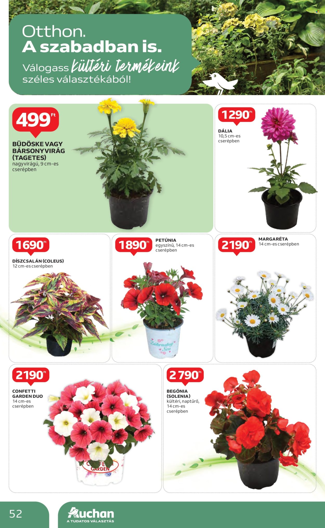 Auchan akciós újság érvényes:  - 2025.05.08 - 2025.05.14. 52. oldal