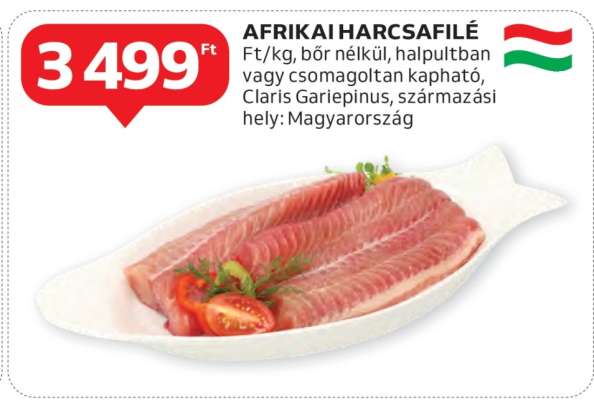 Afrikai Harcsafilé