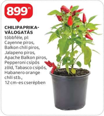 CHILIPAPRIKA-VÁLOGATÁS