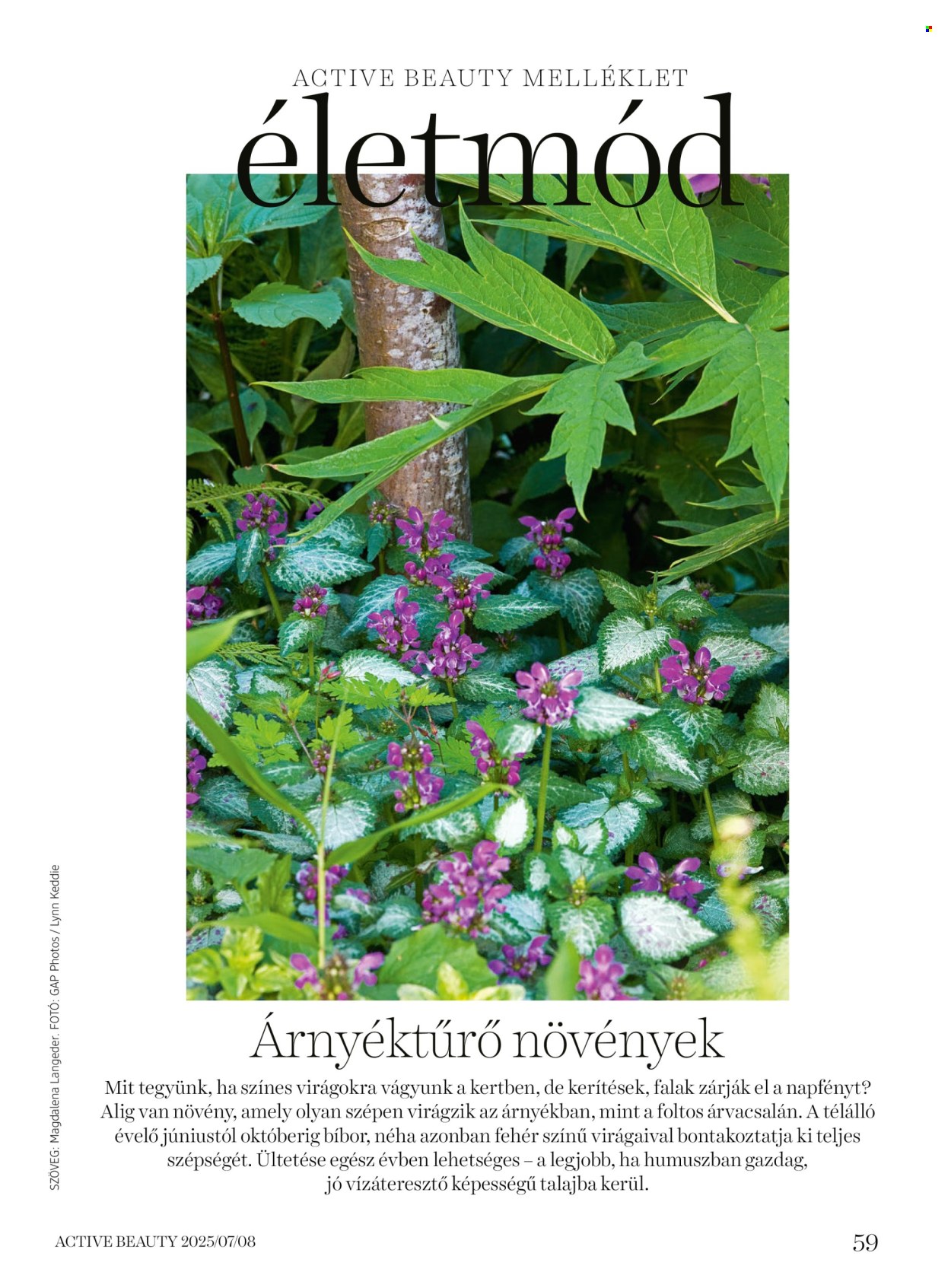 dm drogerie markt akciós újság érvényes: . 59. oldal Oldal 59