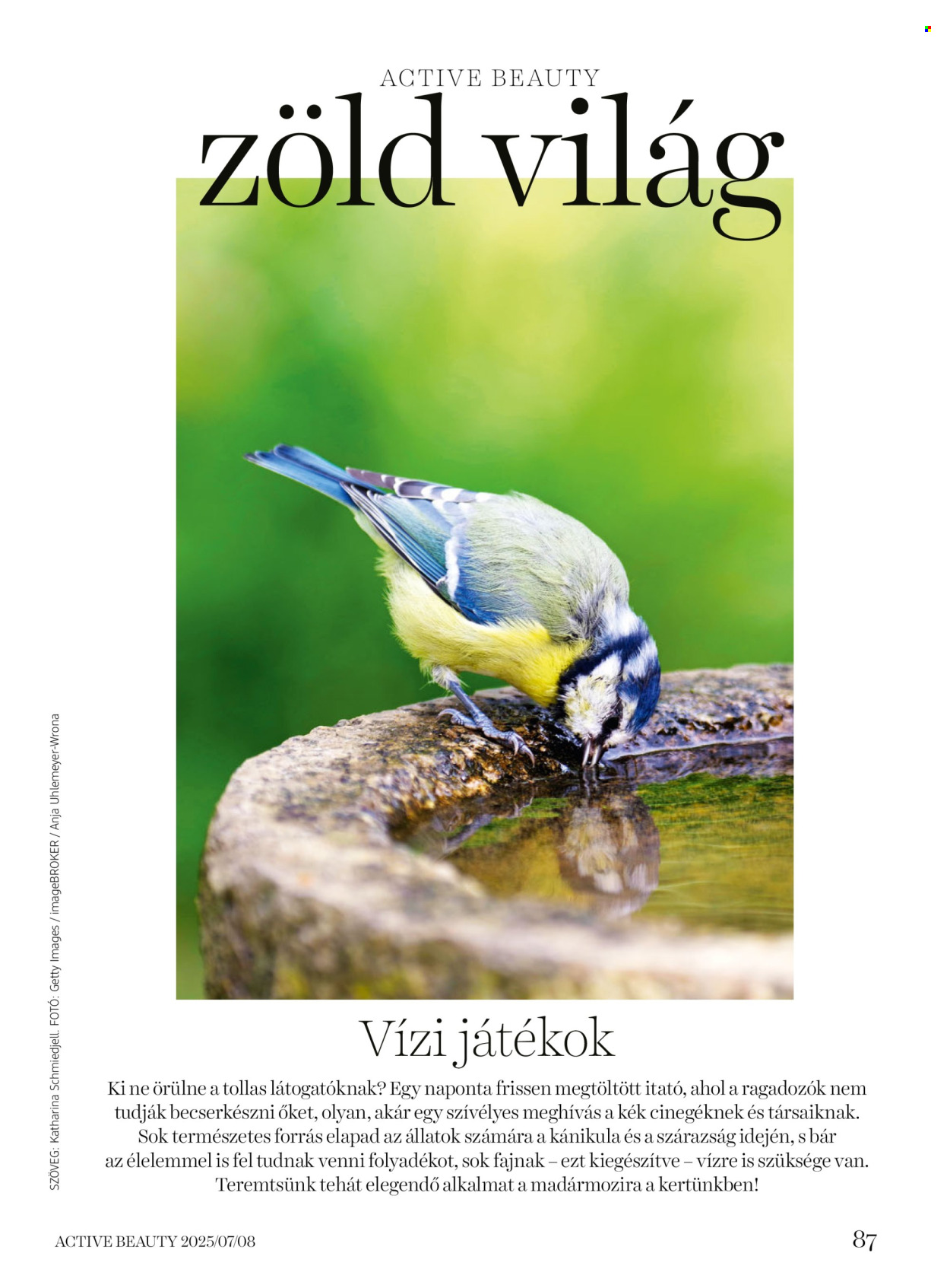 dm drogerie markt akciós újság érvényes: . 87. oldal Oldal 87