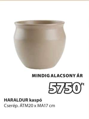 HARALDUR kaspó