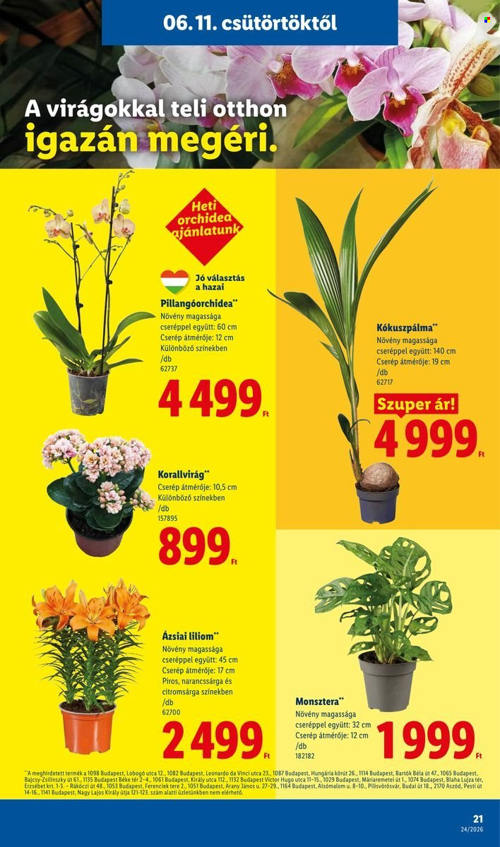 Lidl akciós újság érvényes:  - 2026.06.11 - 2026.06.17. 21. oldal Oldal 21