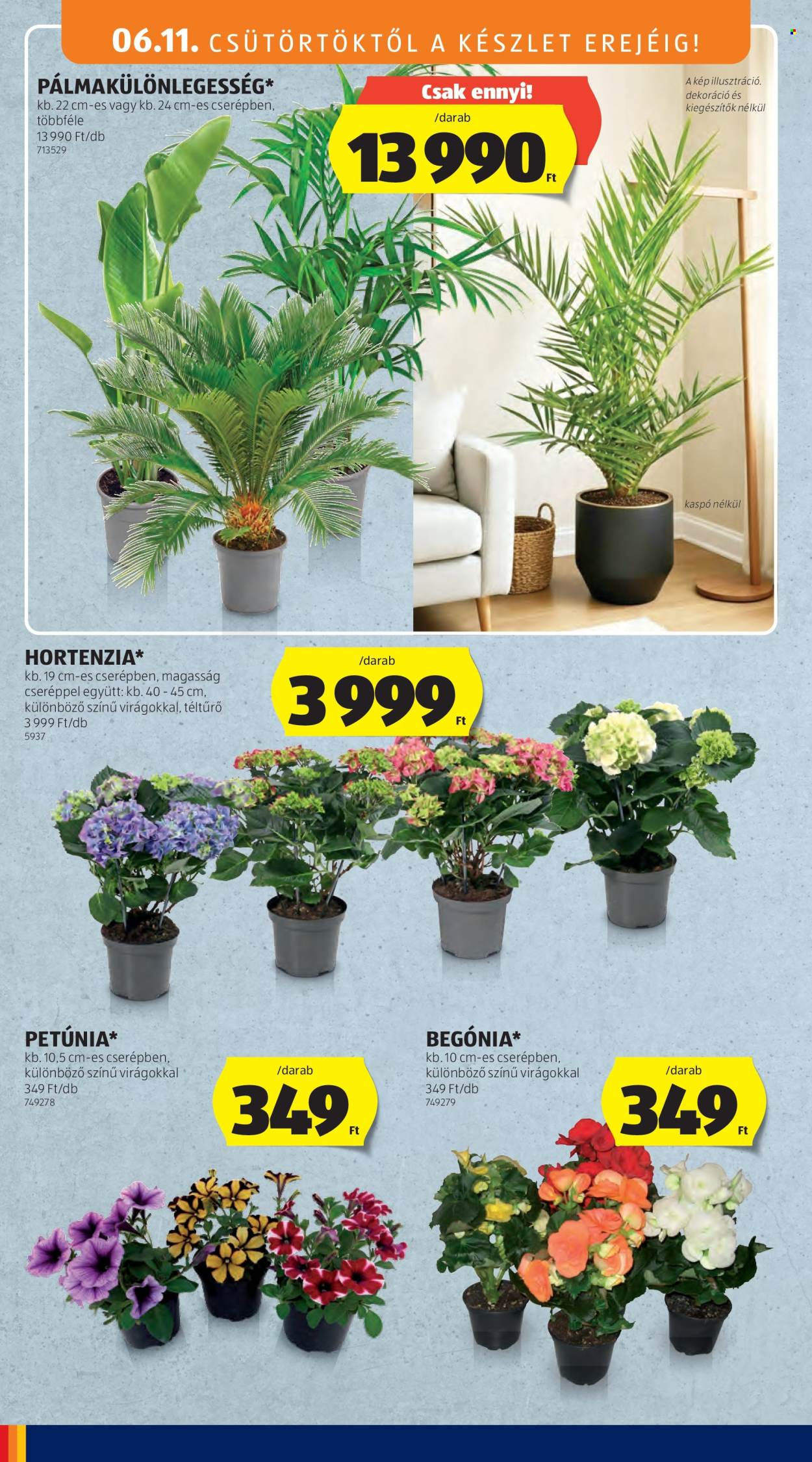 Aldi akciós újság érvényes:  - 2026.06.11 - 2026.06.17. 34. oldal Oldal 34