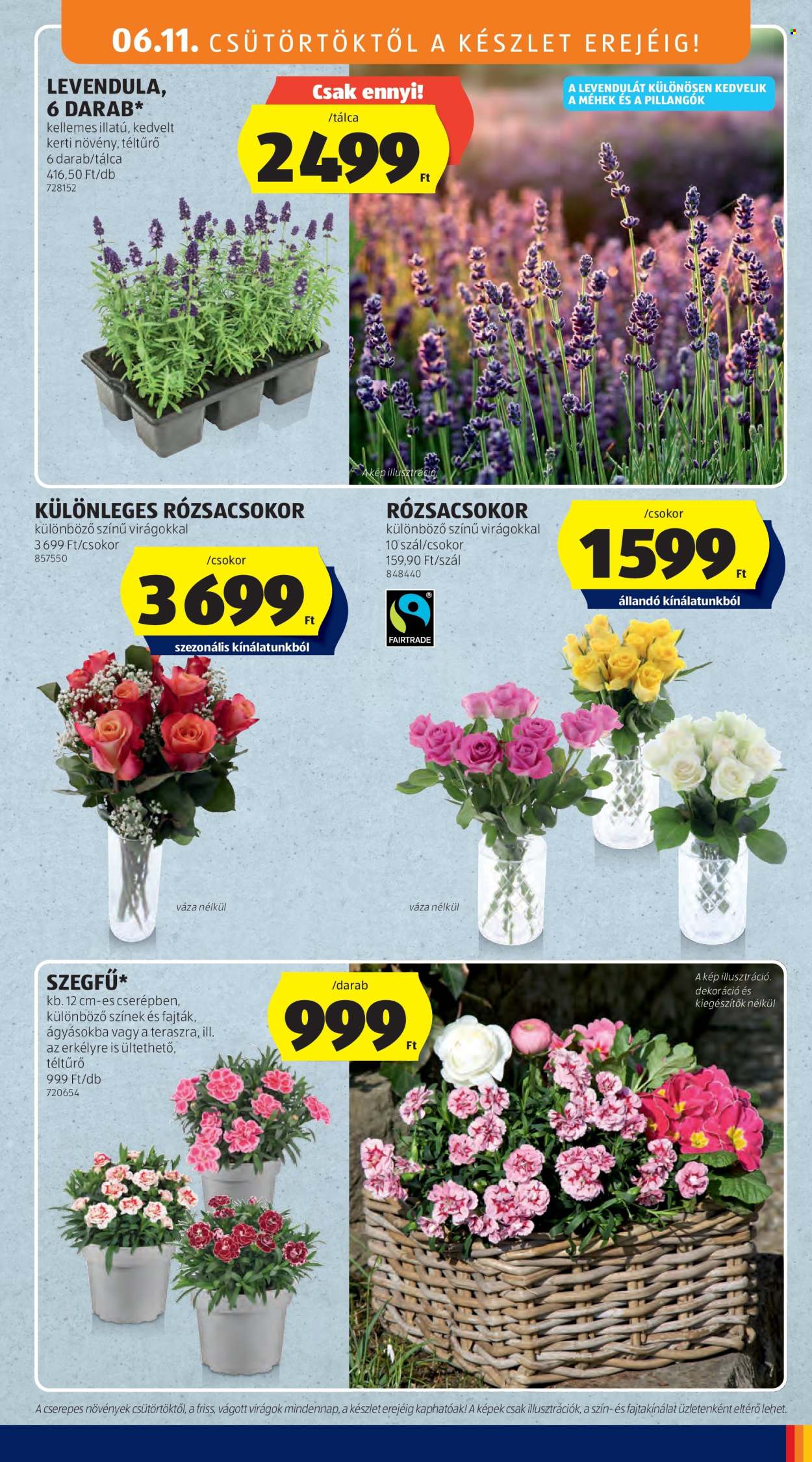 Aldi akciós újság érvényes:  - 2026.06.11 - 2026.06.17. 35. oldal Oldal 35