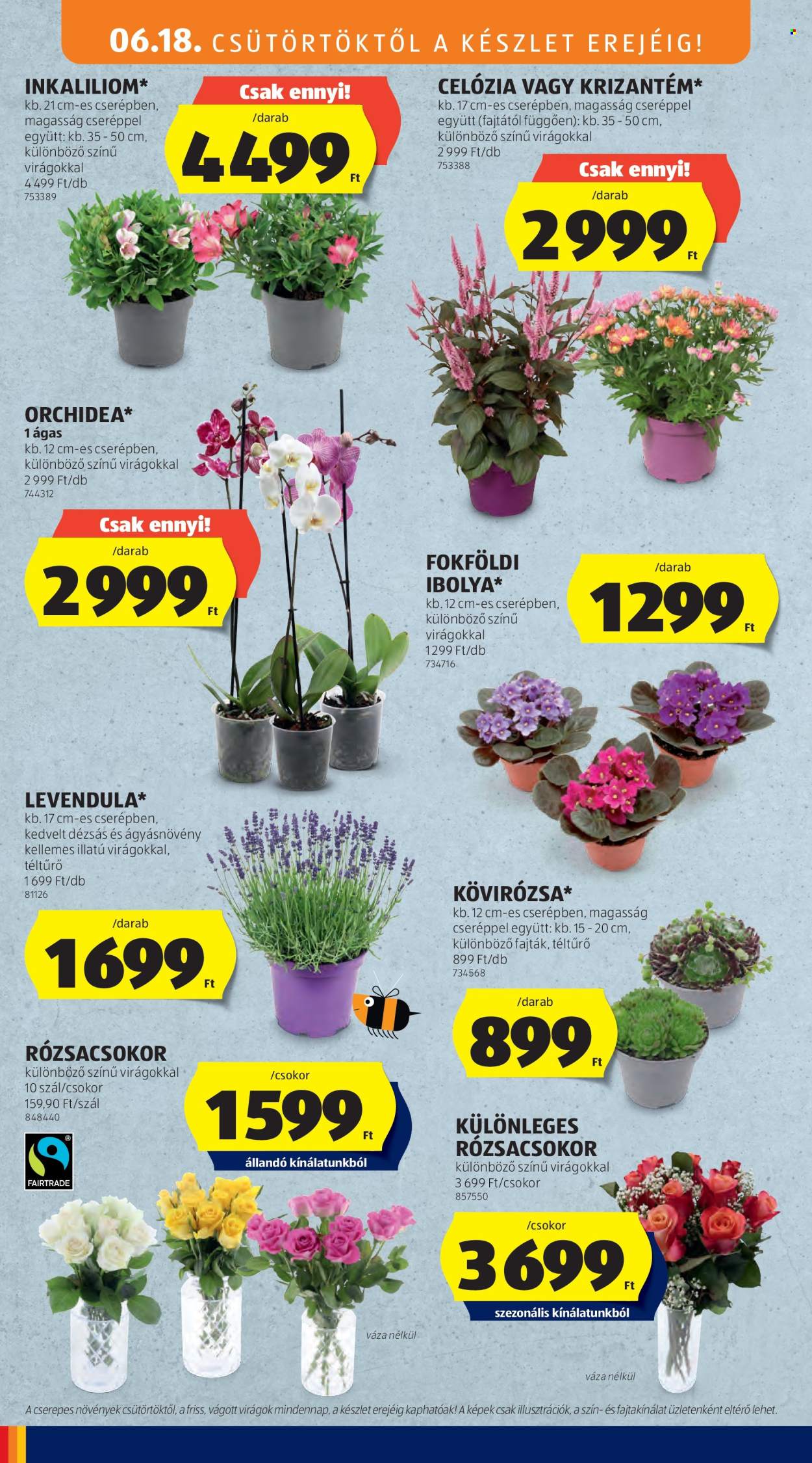Aldi akciós újság érvényes:  - 2026.06.18 - 2026.06.24. 12. oldal Oldal 12