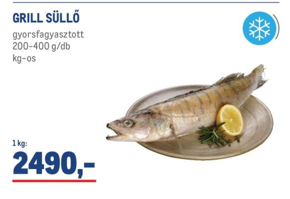 GRILL SÜLLŐ