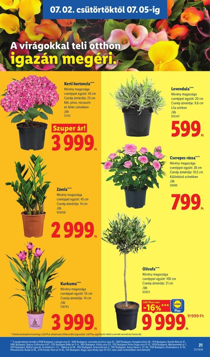 Lidl akciós újság érvényes:  - 2026.07.02 - 2026.07.08. 21. oldal Oldal 21