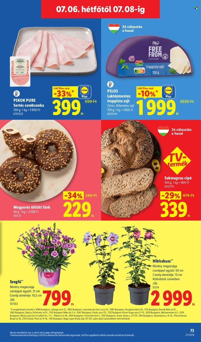 Lidl akciós újság érvényes:  - 2026.07.02 - 2026.07.08. 73. oldal Oldal 73