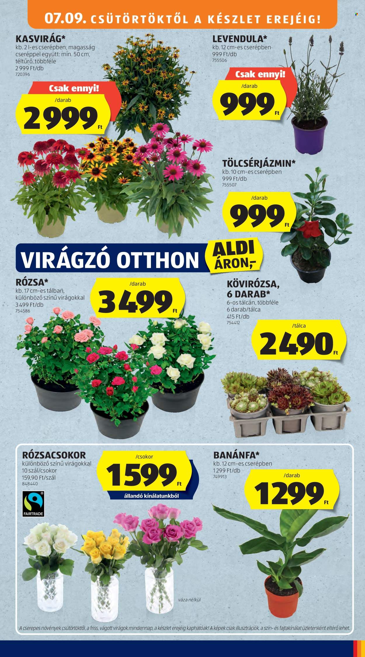 Aldi akciós újság érvényes:  - 2026.07.09 - 2026.07.15. 45. oldal Oldal 45