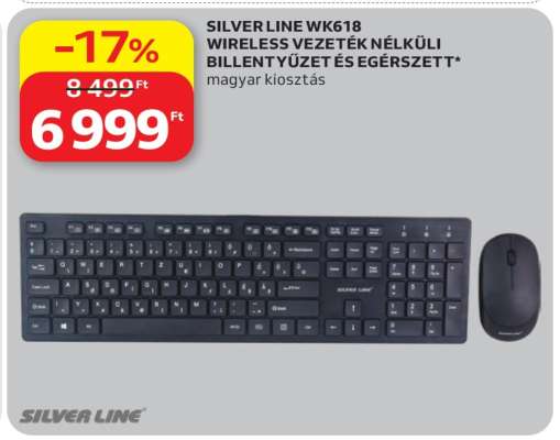 SILVER LINE WK618