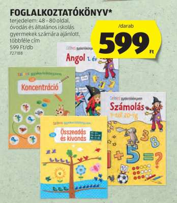 FOGLALKOZTATÓKÖNYV