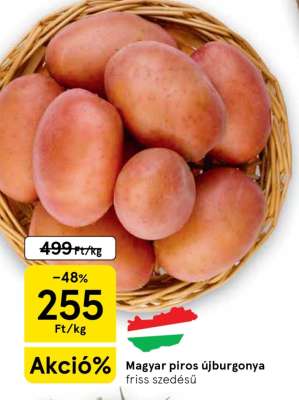 Magyar piros újburgonya