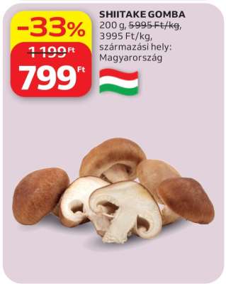 Shiitake gomba