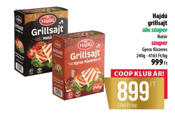 HAJDÚ GRILLSAJT