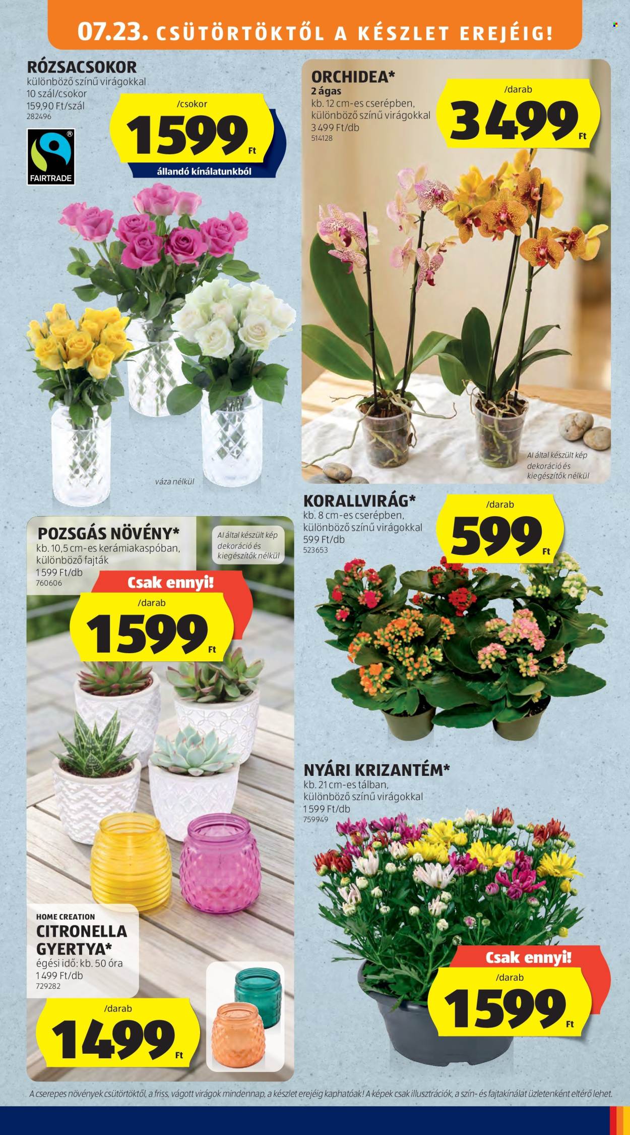 Aldi akciós újság érvényes:  - 2026.07.23 - 2026.07.29. 13. oldal Oldal 13