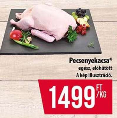 Pecsenyekacsa