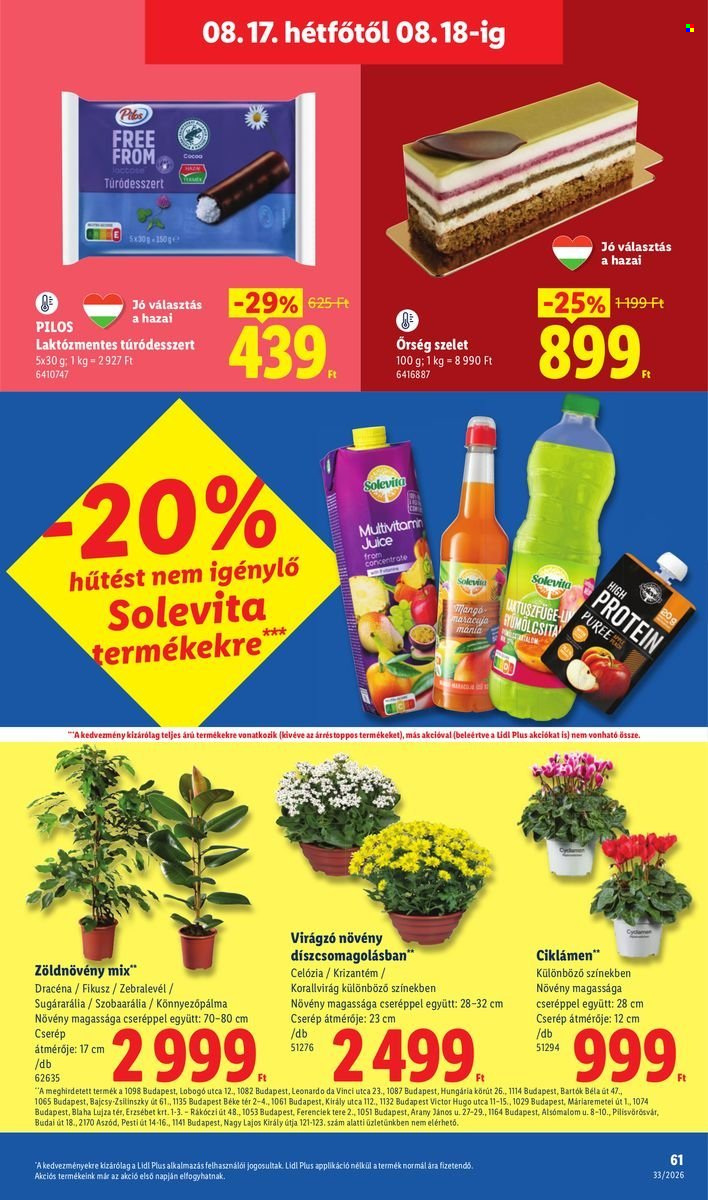 Lidl akciós újság érvényes:  - 2026.08.13 - 2026.08.18. 61. oldal Oldal 61