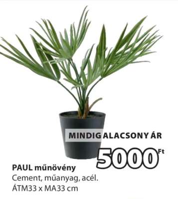 PAUL műnövény