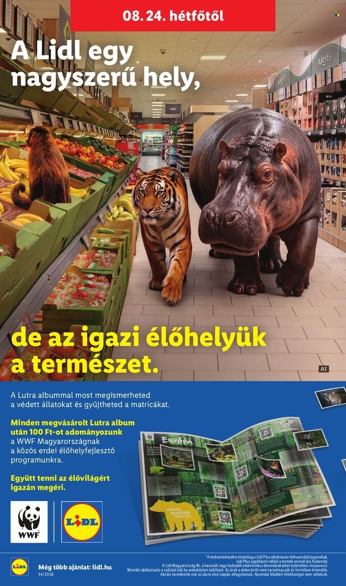 Lidl akciós újság érvényes:  - 2026.08.19 - 2026.08.26. 52. oldal Oldal 52