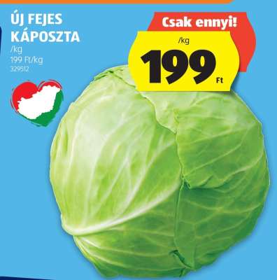 Új fejes káposzta