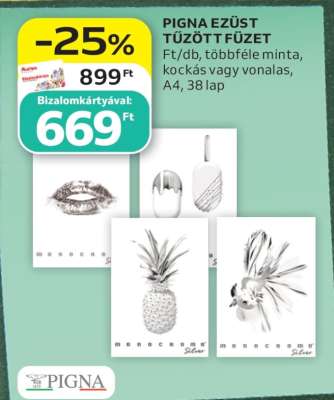 PIGNA EZÜST TŰZÖTT FÜZET