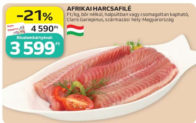Afrikai Harcsafilé