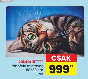 Lábtörlő