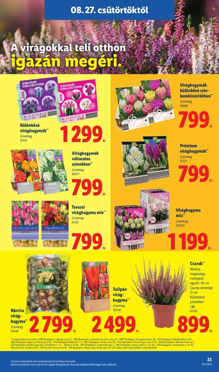 Lidl akciós újság érvényes:  - 2026.08.27 - 2026.09.02. 23. oldal Oldal 23