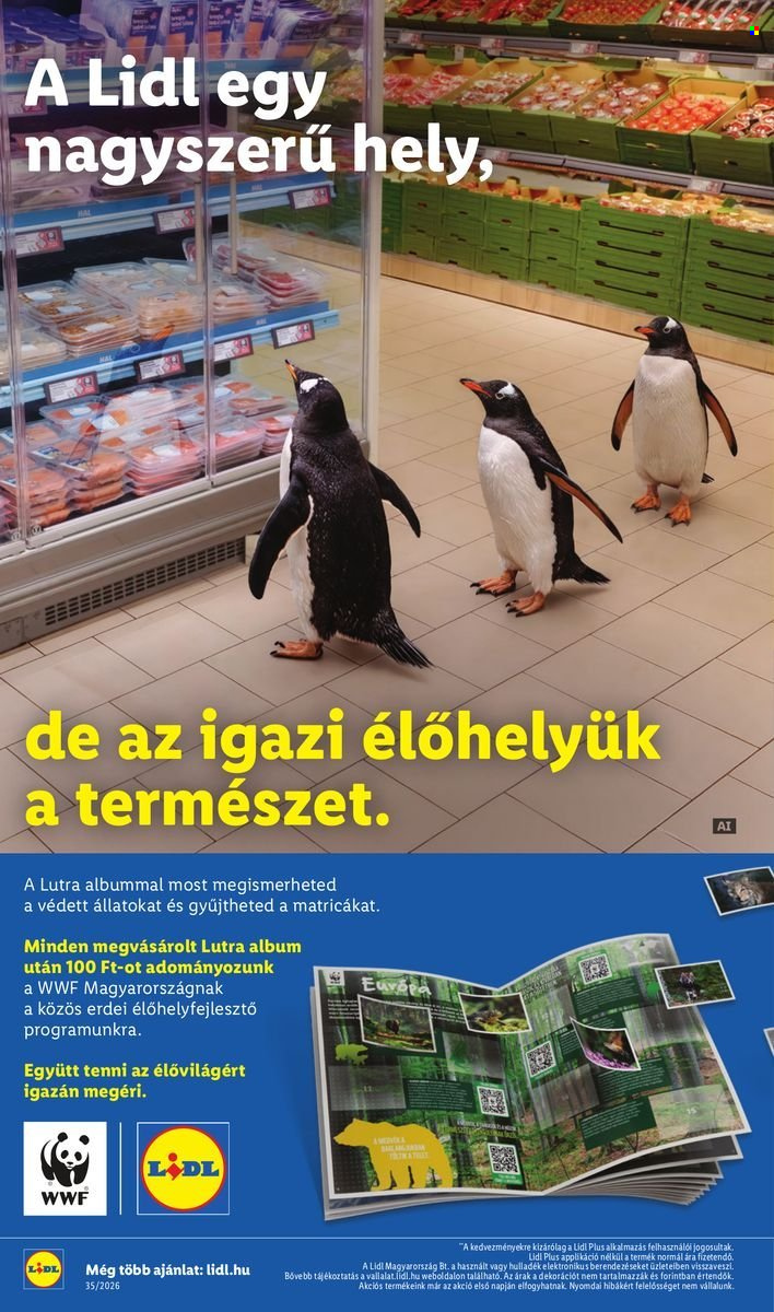 Lidl akciós újság érvényes:  - 2026.08.27 - 2026.09.02. 36. oldal Oldal 36