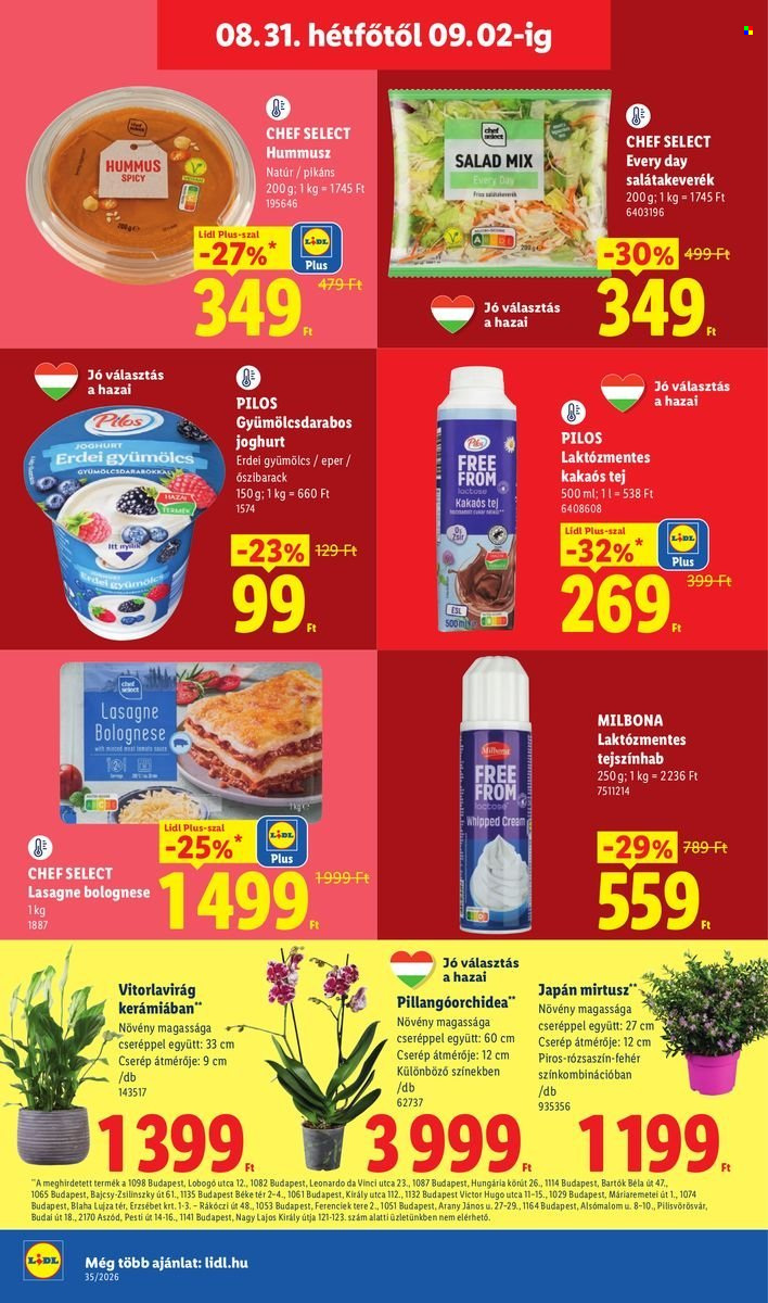 Lidl akciós újság érvényes:  - 2026.08.27 - 2026.09.02. 66. oldal Oldal 66