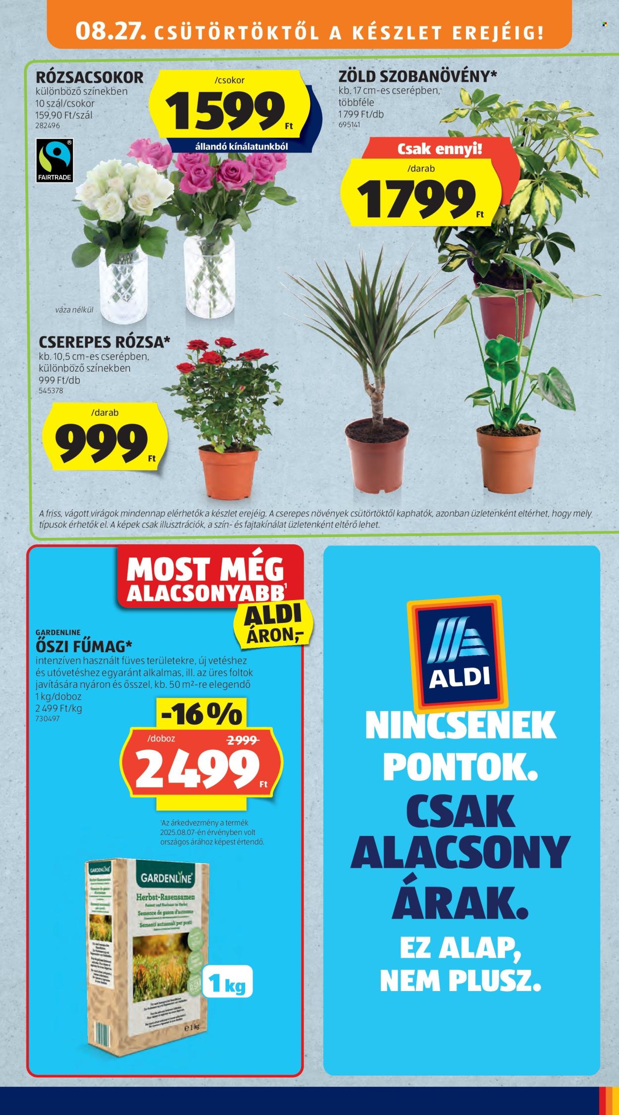 Aldi akciós újság érvényes:  - 2026.08.27 - 2026.09.02. 41. oldal Oldal 41