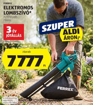FERREX Elektromos Lombszívó