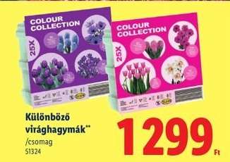 Különböző virághagymák