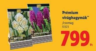 Prémium virághagymák