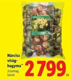 Nárcisz virághagyma
