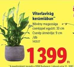 Vitorlavirág kerámiában*