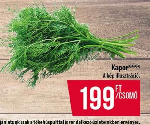Kapor