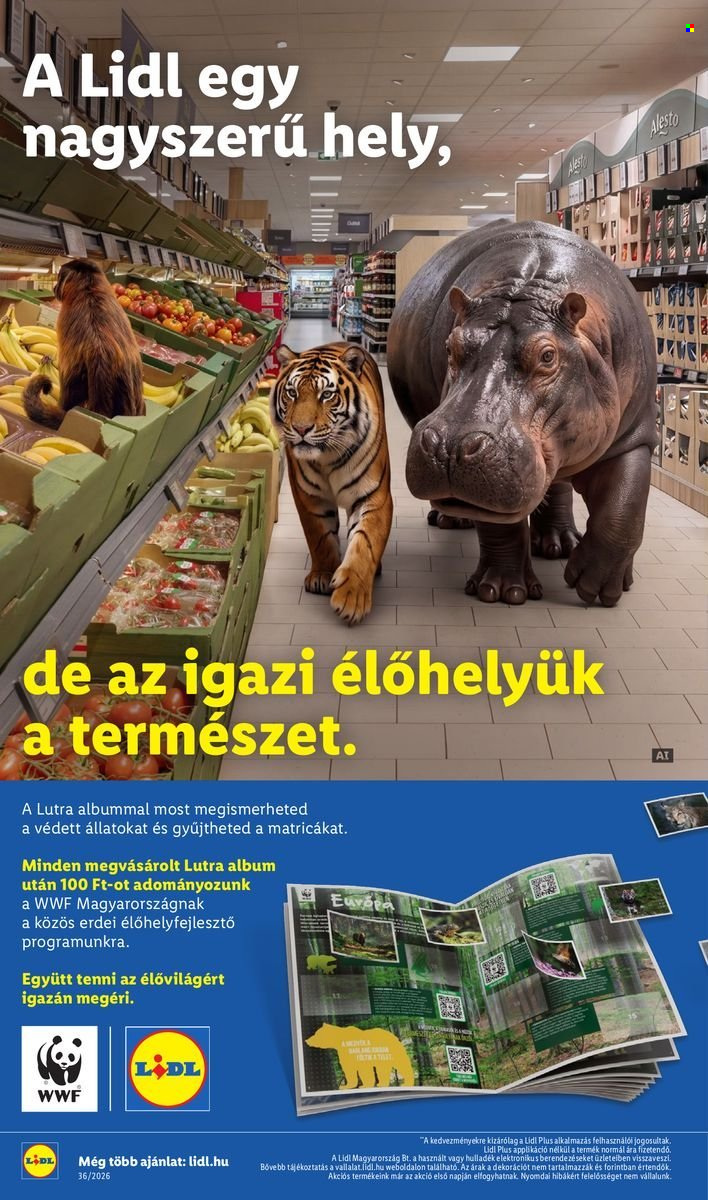 Lidl akciós újság érvényes:  - 2026.09.03 - 2026.09.09. 18. oldal Oldal 18