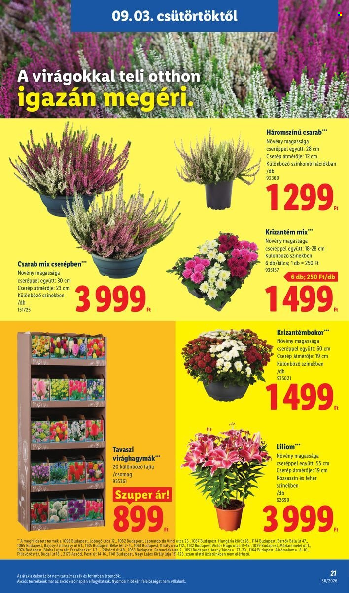 Lidl akciós újság érvényes:  - 2026.09.03 - 2026.09.09. 21. oldal Oldal 21