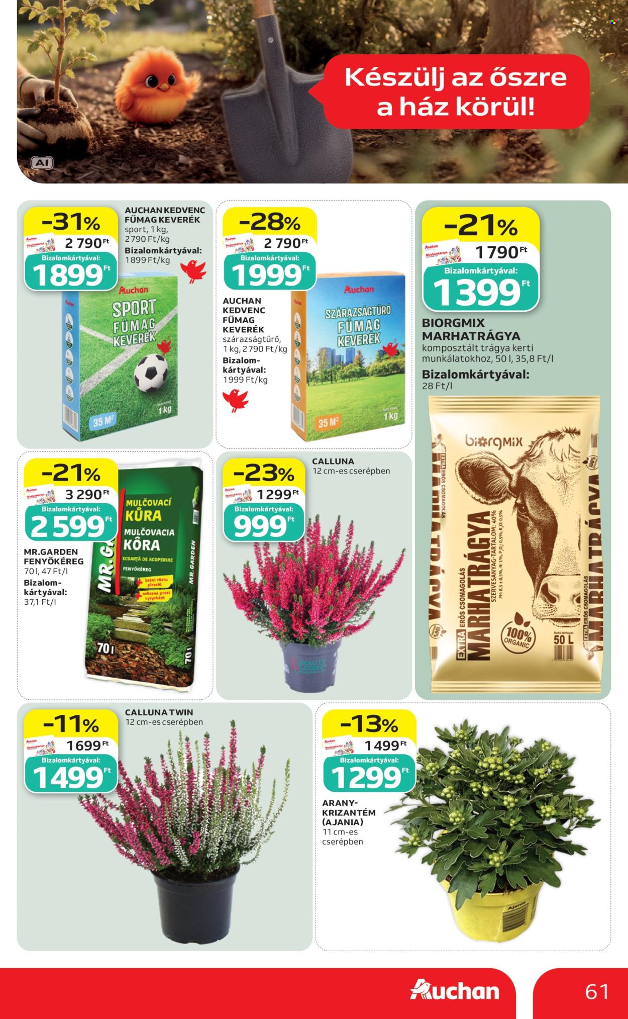 Auchan akciós újság érvényes:  - 2026.09.03 - 2026.09.09. 61. oldal Oldal 61