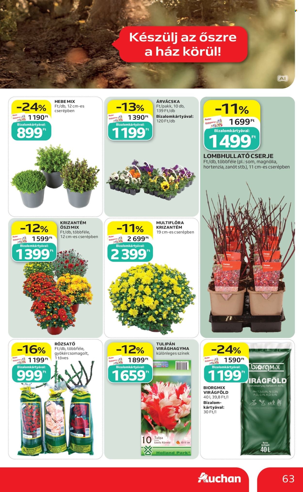 Auchan akciós újság érvényes:  - 2026.09.03 - 2026.09.09. 63. oldal Oldal 63