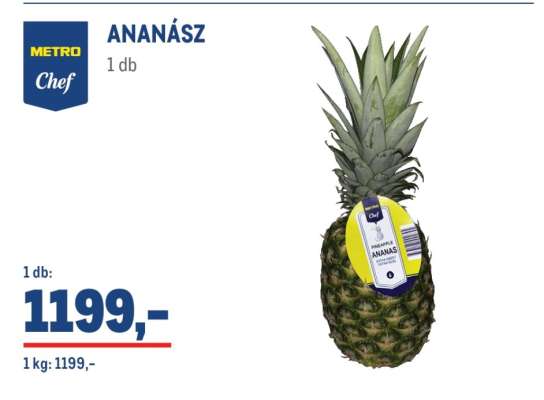 METRO Chef ANANÁSZ