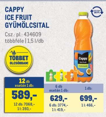 Cappy Ice Fruit gyümölcsital
