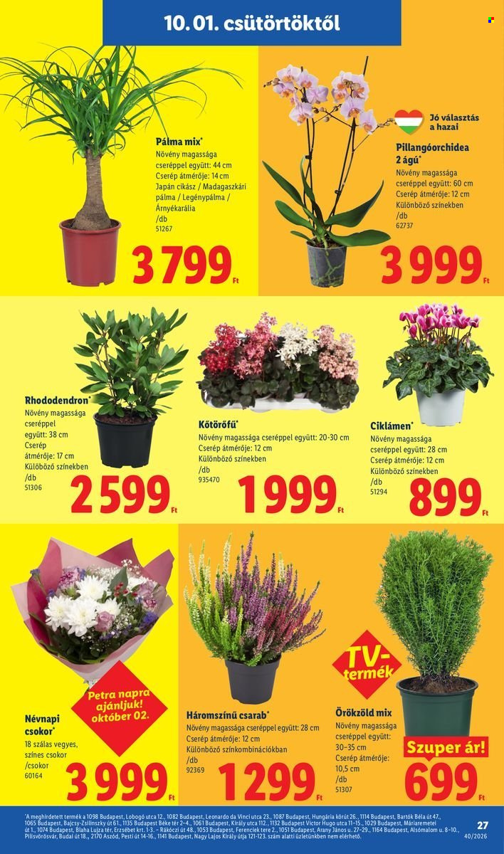 Lidl akciós újság érvényes:  - 2026.10.01 - 2026.10.07. 27. oldal Oldal 27