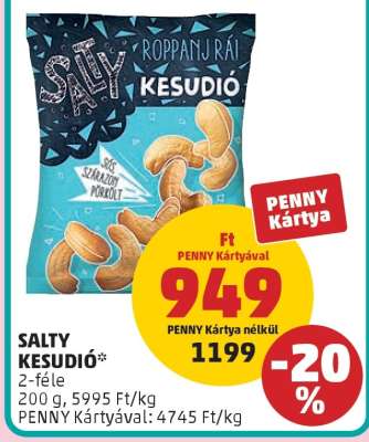 SALTY KESUDIÓ
