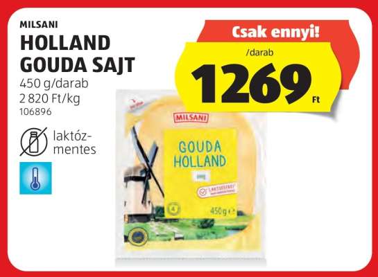 MILSANI HOLLAND GOUDA SAJT
