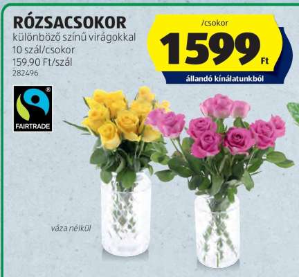 RÓZSACSOKOR